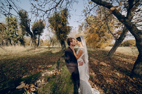 Couple de mariage amoureux en plein air — Photo