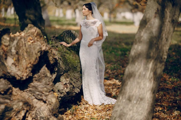 Hochzeitspaar verliebt im Freien — Stockfoto