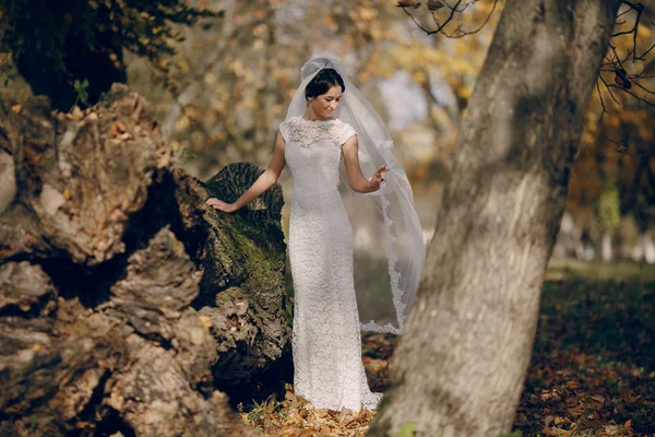 Hochzeitspaar verliebt im Freien — Stockfoto