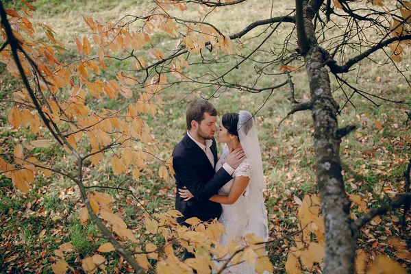 Hochzeitspaar verliebt im Freien — Stockfoto