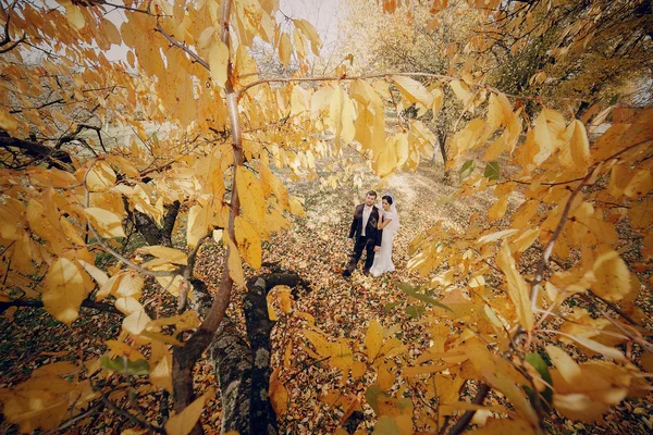 Couple de mariage amoureux en plein air — Photo