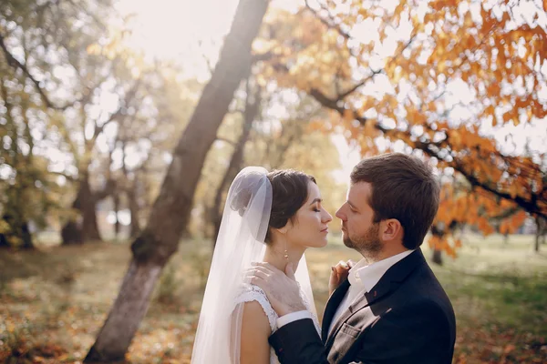 Matrimonio coppia innamorata all'aperto — Foto Stock