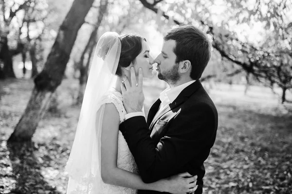 Casamento casal apaixonado ao ar livre — Fotografia de Stock