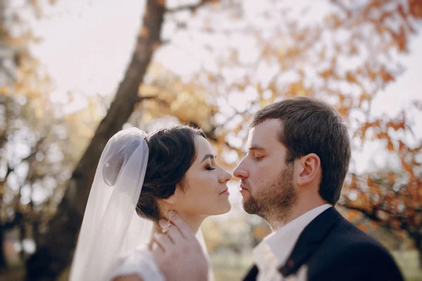 Hochzeitspaar verliebt im Freien — Stockfoto