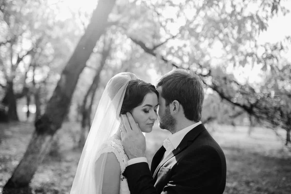 Hochzeitspaar verliebt im Freien — Stockfoto