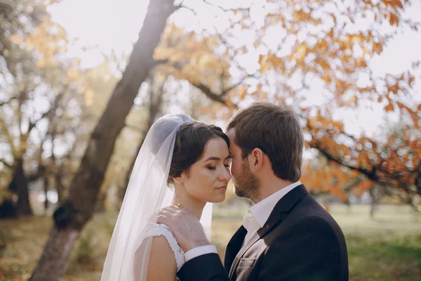 Matrimonio coppia innamorata all'aperto — Foto Stock