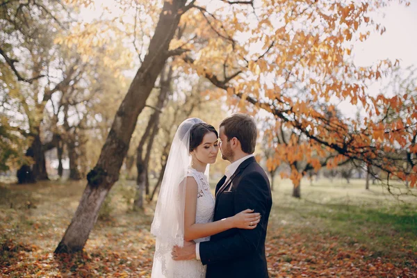 Casamento casal apaixonado ao ar livre — Fotografia de Stock