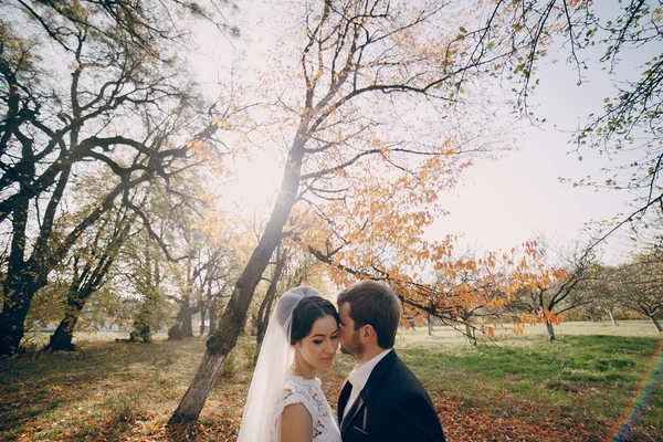 Pareja de boda enamorada al aire libre —  Fotos de Stock