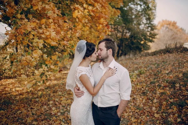 Bryllupspar i kjærlighet utendørs – stockfoto