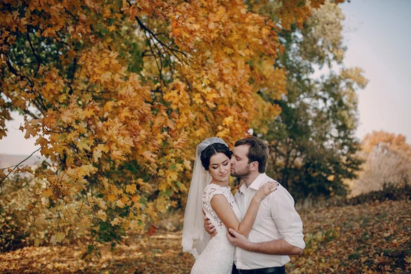 Bruidspaar verliefd buitenshuis — Stockfoto