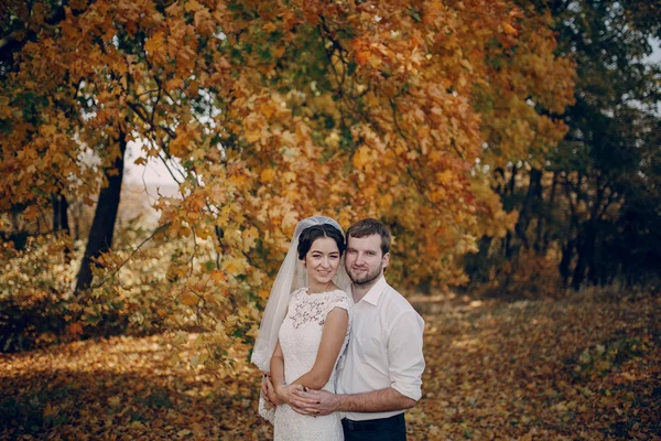 Wedding couple in love outdoors — Stock Photo, Image