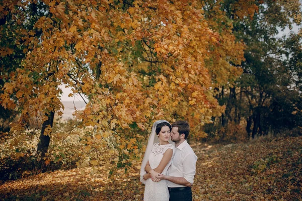 Hochzeitspaar verliebt im Freien — Stockfoto