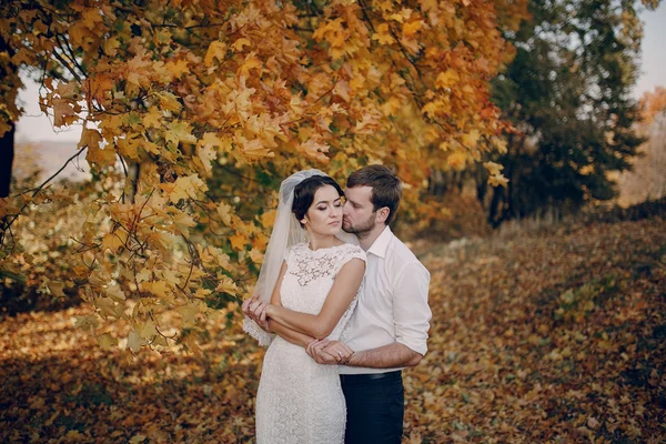 Matrimonio coppia innamorata all'aperto — Foto Stock