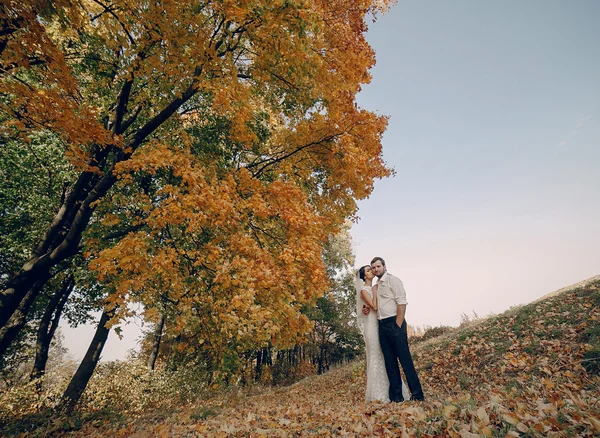 Hochzeitspaar verliebt im Freien — Stockfoto