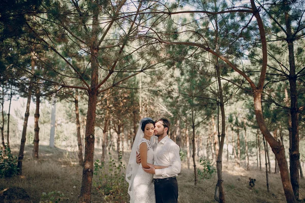 Svatební pár v lásce venku — Stock fotografie
