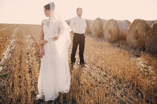 Happy wedding couple in a field — Stock Photo, Image