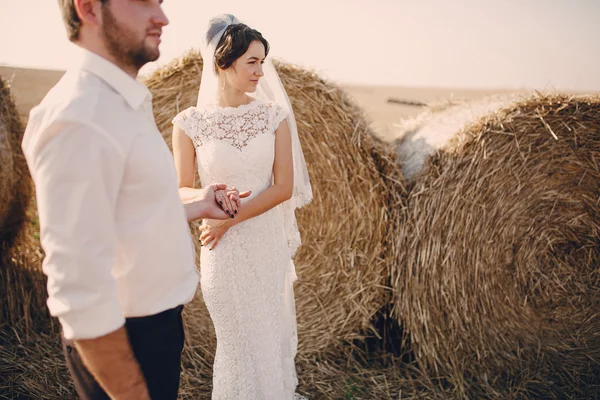 Happy wedding couple in a field — Stock Photo, Image