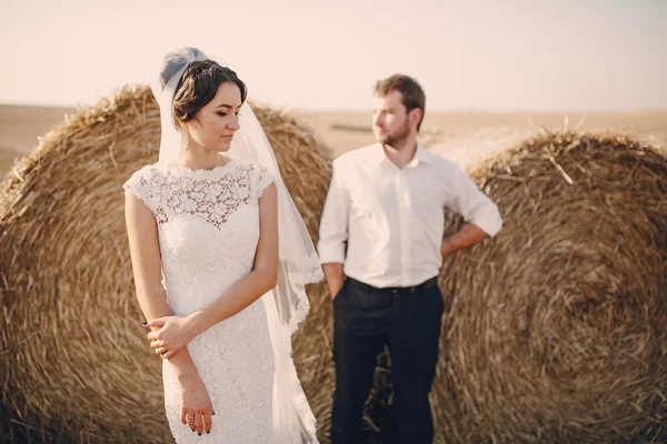 Happy wedding couple in a field — Stock Photo, Image