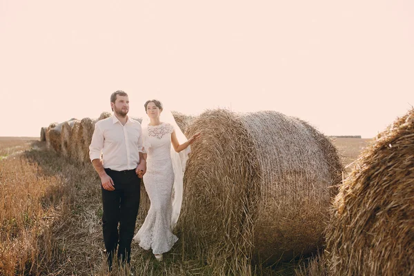 Happy wedding couple in a field — Stock Photo, Image