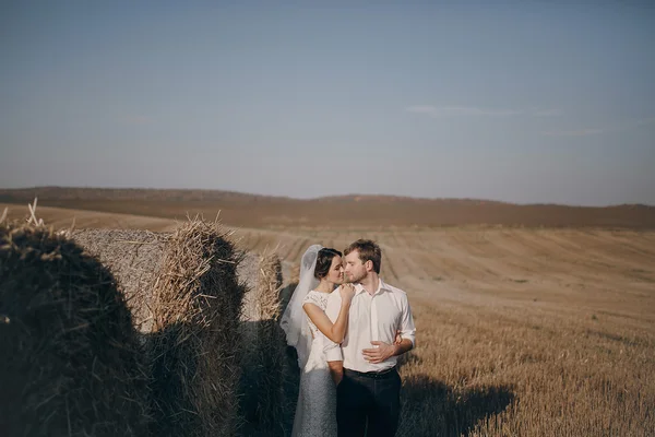 Счастливая свадебная пара в поле — стоковое фото