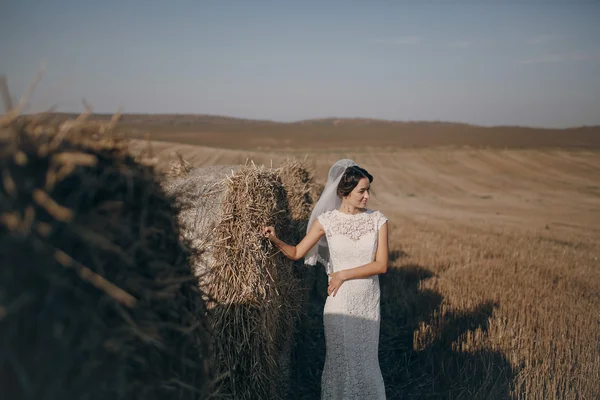 Verheugd huwelijksfeest paar in een veld — Stockfoto