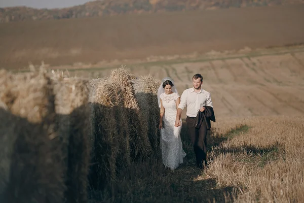 Happy wedding couple in a field — Stock Photo, Image