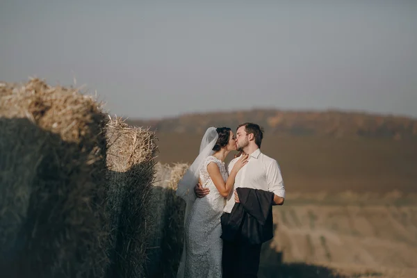 Happy wedding couple in a field — Stock Photo, Image
