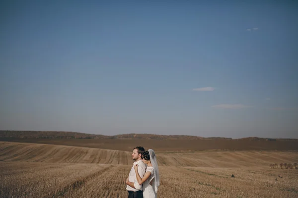 Glückliches Hochzeitspaar auf einem Feld — Stockfoto