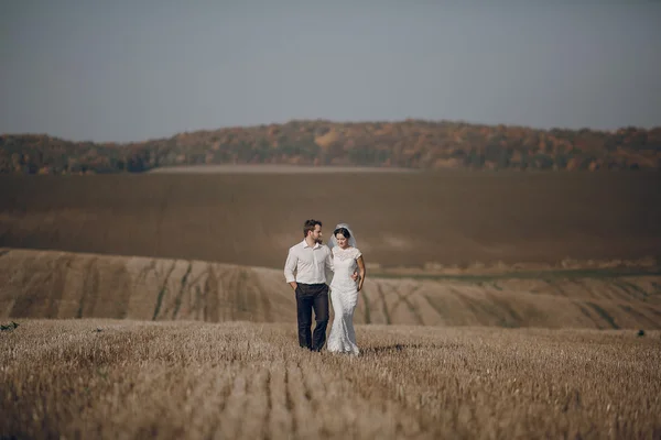 Щаслива весільна пара в полі — стокове фото
