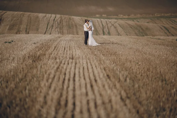 Lyckliga brudparet i ett fält — Stockfoto