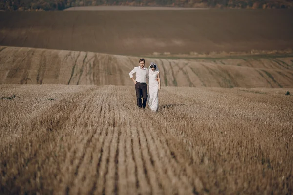 Happy wedding couple in a field — Stock Photo, Image