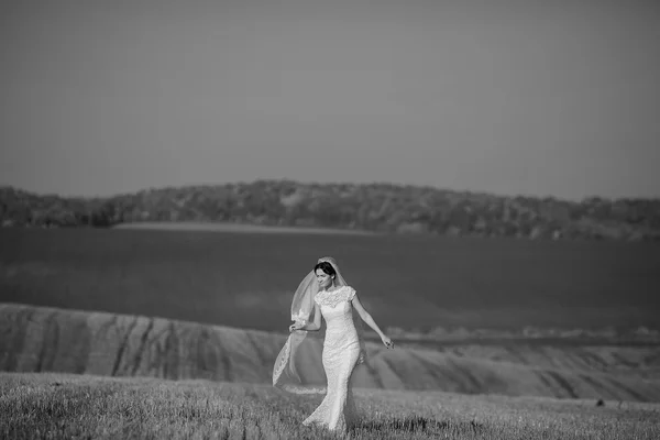 Glückliches Hochzeitspaar auf einem Feld — Stockfoto