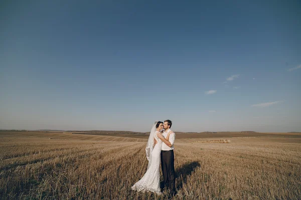 Happy wedding couple in a field — Stock Photo, Image