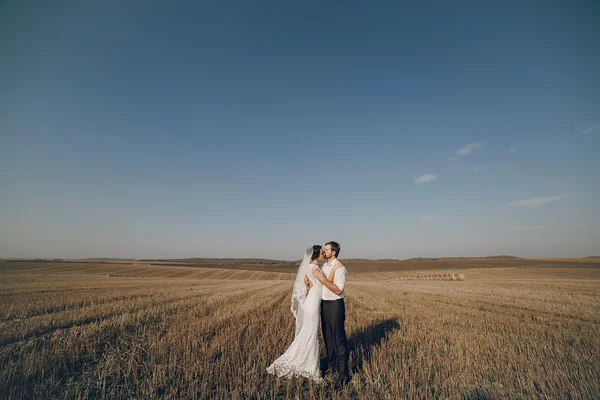 Happy wedding couple in a field — Stock Photo, Image