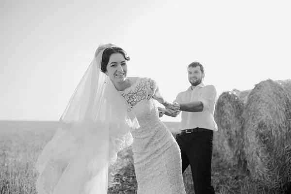 Happy wedding couple in a field — Stock Photo, Image