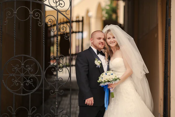 Beautiful wedding — Stock Photo, Image