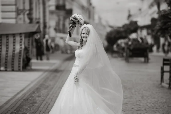 Hermosa boda —  Fotos de Stock