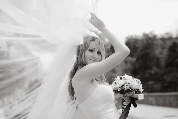 Hermosa boda —  Fotos de Stock