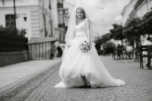 Hermosa boda — Foto de Stock