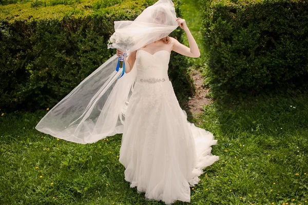 Hermosa boda —  Fotos de Stock