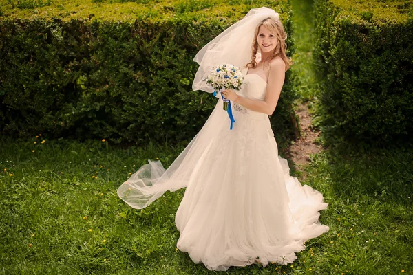Pernikahan yang indah — Stok Foto