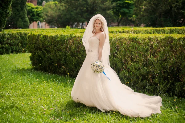 Hermosa boda —  Fotos de Stock