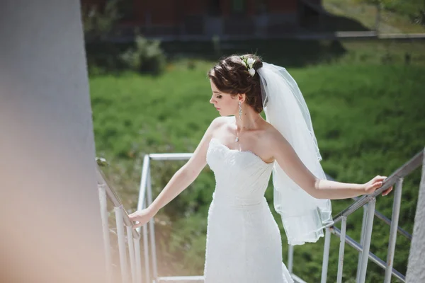 Morning bride — Stock Photo, Image