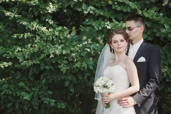 Wedding couple — Stock Photo, Image