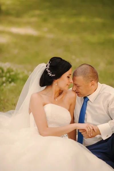 Pareja de boda — Foto de Stock