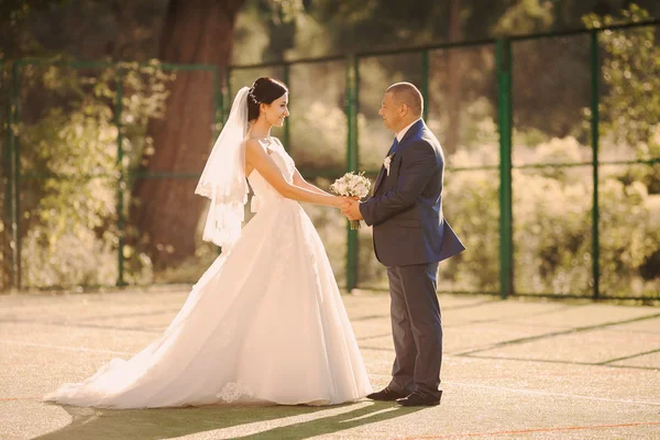 Pareja de boda — Foto de Stock