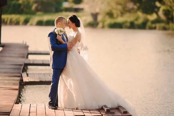 Pareja de boda — Foto de Stock