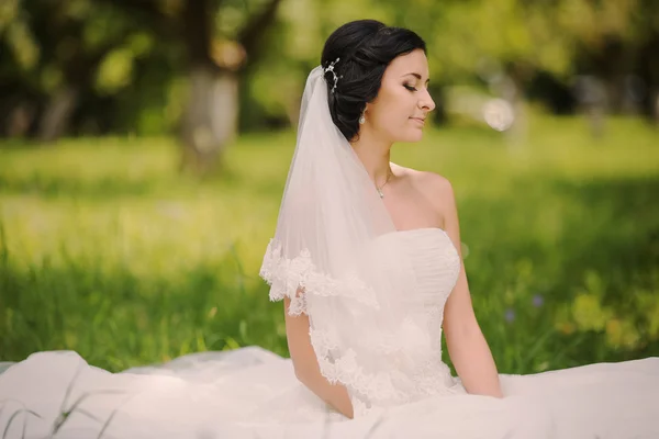 Pareja de boda — Foto de Stock