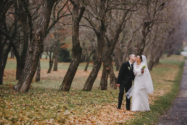 Matrimonio coppia — Foto Stock