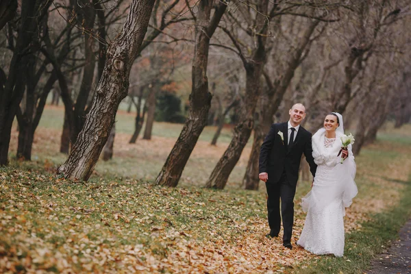 Matrimonio coppia — Foto Stock